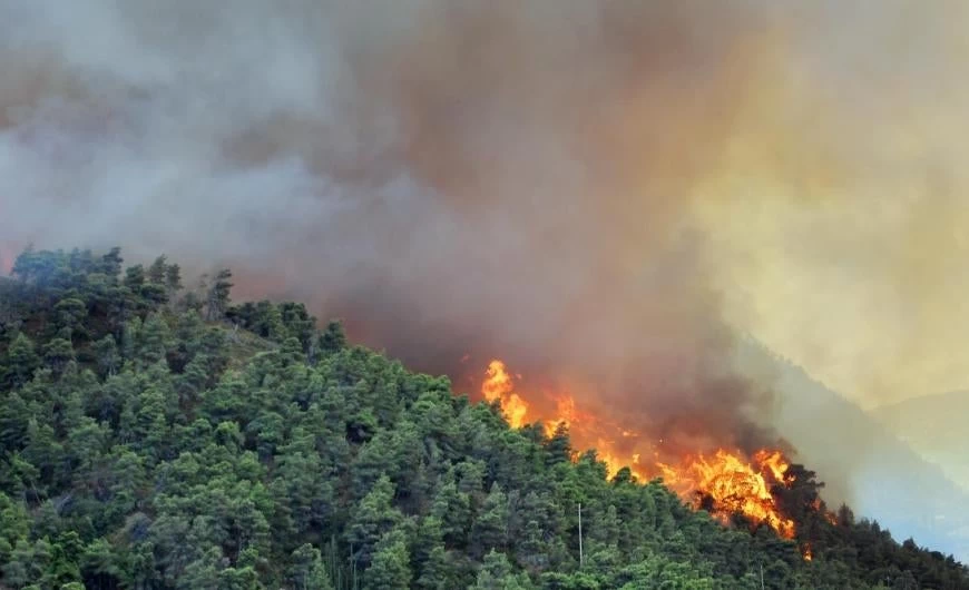 Φωτιά τώρα στον Εθνικό Δρυμό Οίτης